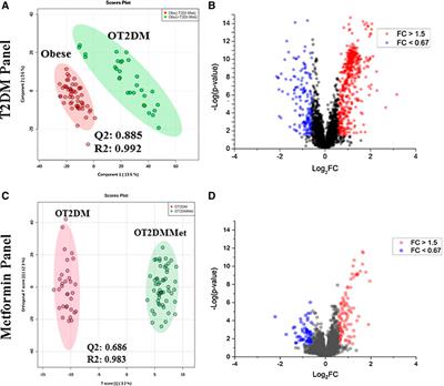 Obesity Connected Metabolic Changes in Type 2 Diabetic Patients Treated With Metformin